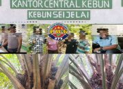 Dugaan Kriminalisasi Dilakukan Manajemen PT Fape Memenjarakan Warga  