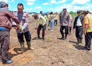 POLSEK MATAN HILIR UTARA BERSINERGI LAKSANAKAN PENANAMAN JAGUNG HIBRIDA UNTUK DUKUNG KETAHANAN PANGAN