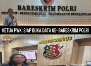Kasus Dugaan Jual Beli Proyek di Ketapang Makin Menguak, Ketua PWK Resmi Laporkan ke Polisi