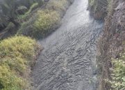 Limbah PT USP Diduga Cemari Sungai, Warga Manis Mata Desak DPRD Turun Tangan