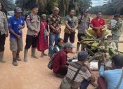 Tajau Adat Dipasang, Warga Danau Buntar Ultimatum PT UAI soal Lahan Masyarakat