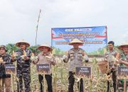 Sekertaris daerah kabupaten Ketapang Ikuti Panen Raya Jagung Serentak Nasional, Dukung Swasembada Pangan