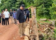 Harapan baru untuk tahun depan Jembatan Benipis Dua yang Kini Fungsional 